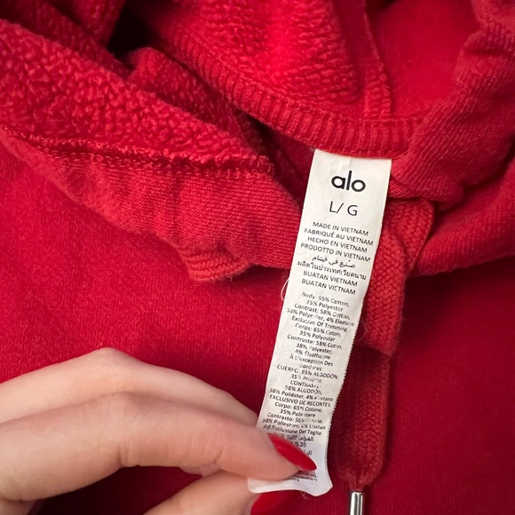 Alo Yoga Allocade Hoodie - Picture 3 of 4